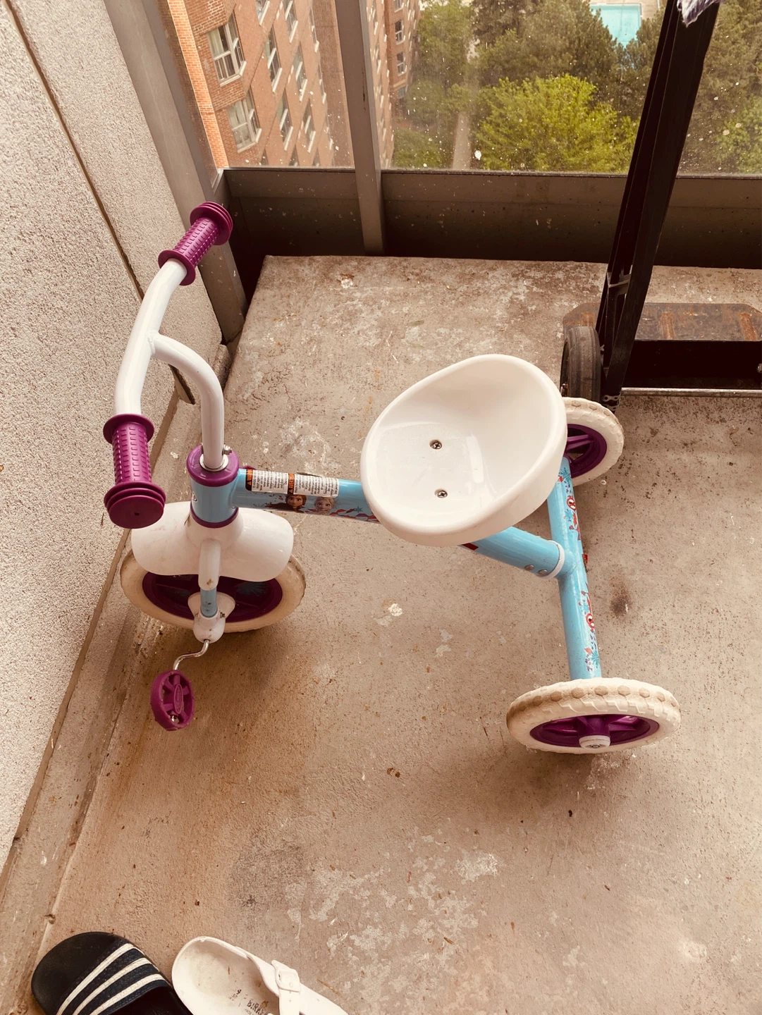 Frozen Tricycle - photo 2