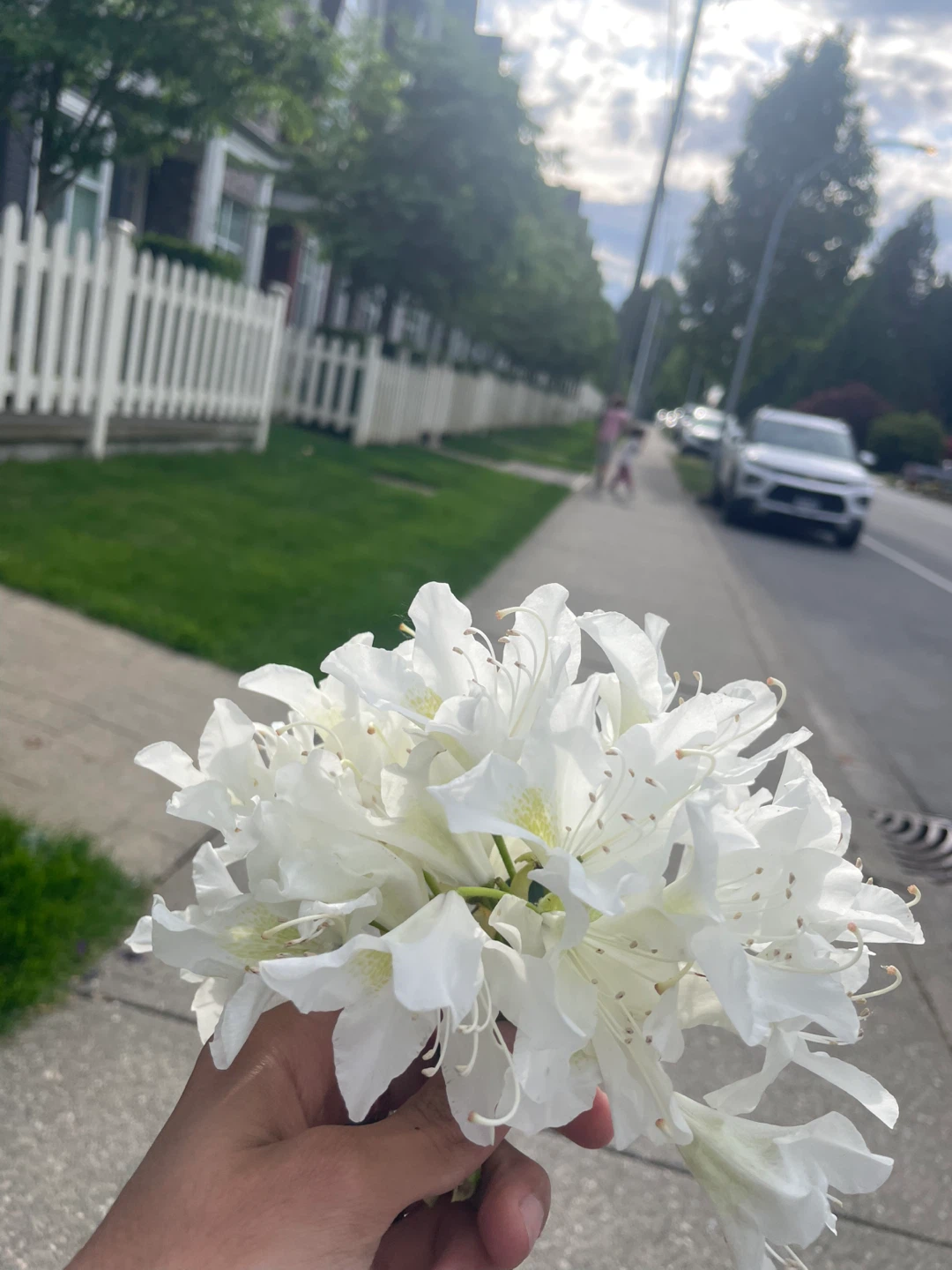 White and Lilac Flower Bouquets - photo 2