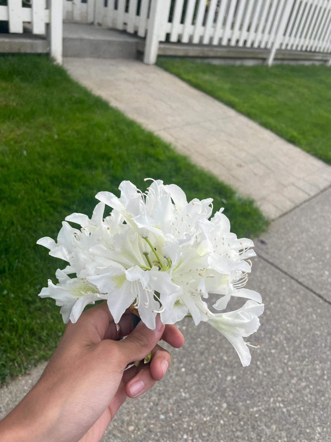 White and Lilac Flower Bouquets - photo 3