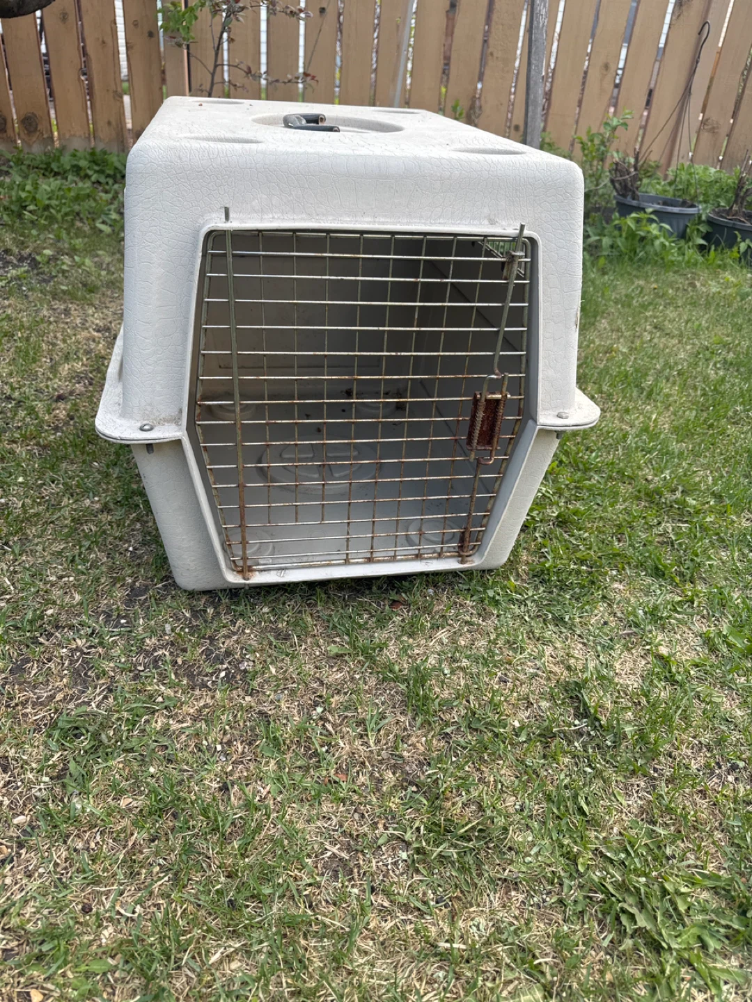 Used Pet Carrier