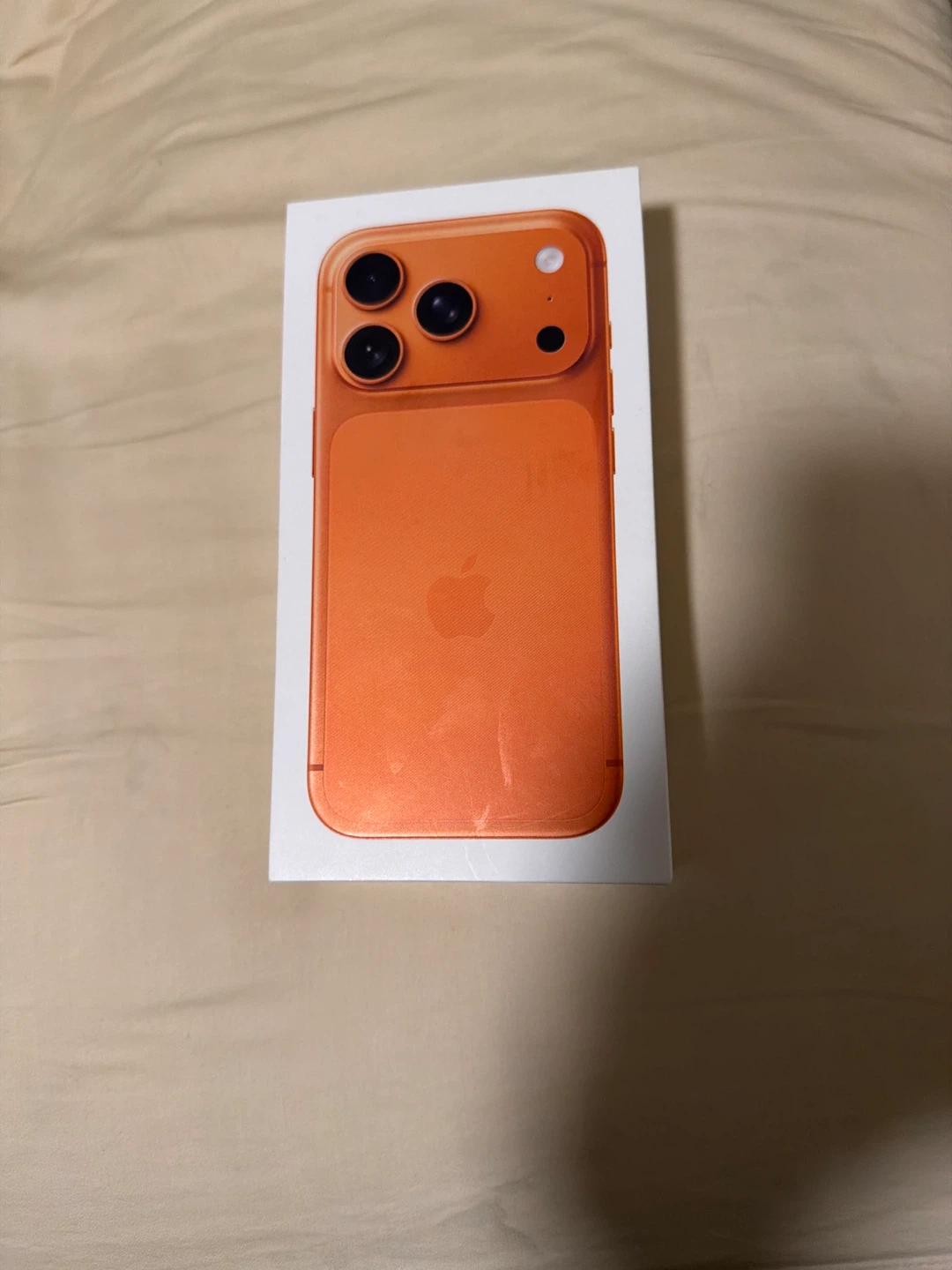 Apple iPhone 17 pro case