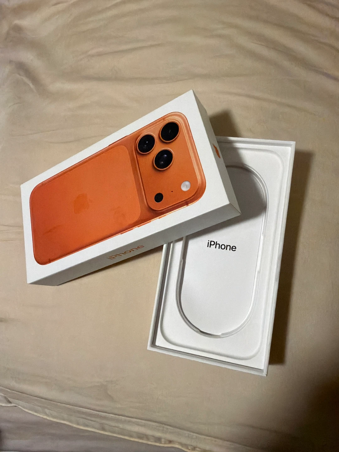 Apple iPhone 17 pro case - photo 2