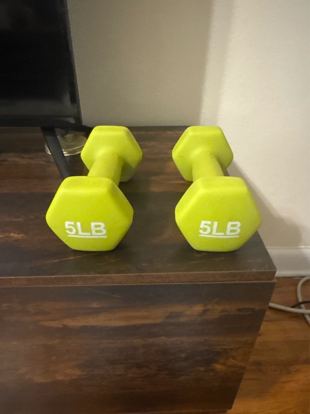 Pair of 5LB Dumbbells