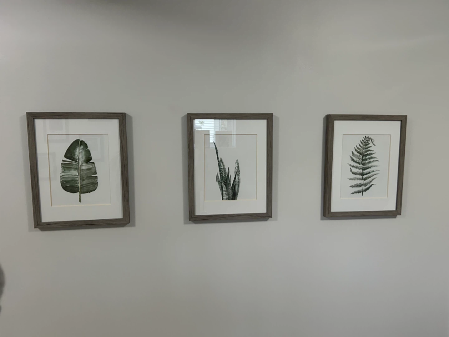 Set of 3 Picture Frames - Includes 6 Botanical Prints