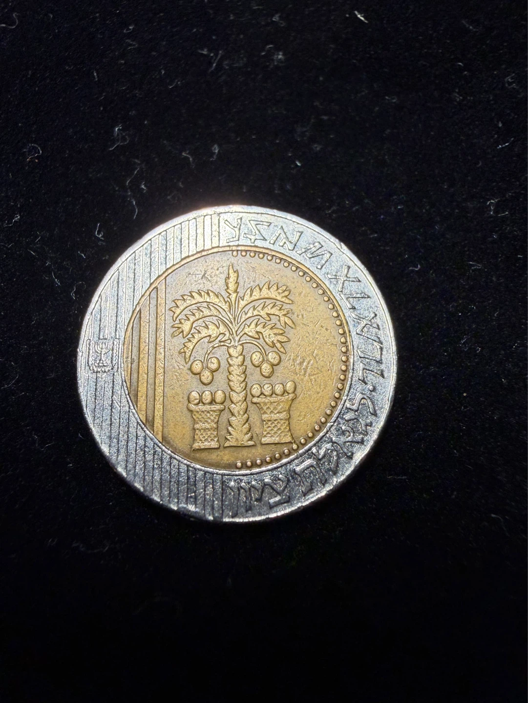 10 New Sheqalim Coin - Israel