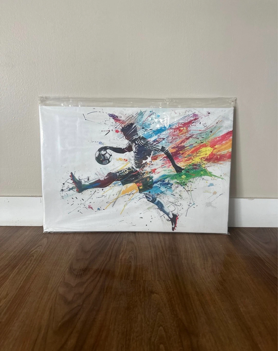 Colorful Basketball & Soccer Canvas Wall Art Set