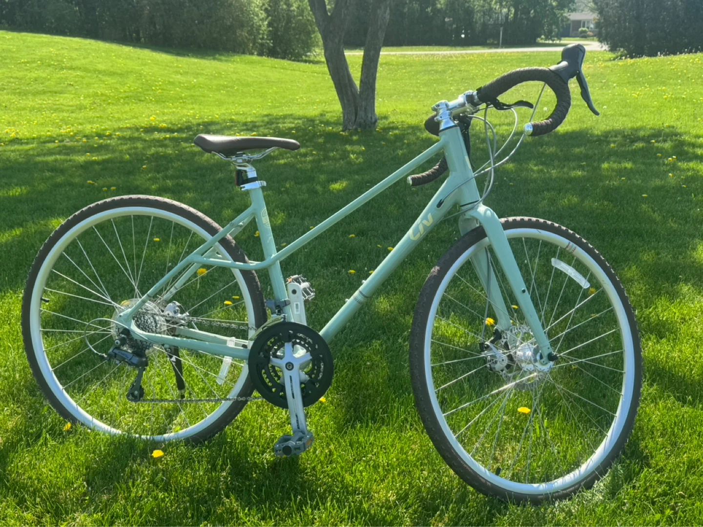 Liv Beliv Gravel Bike