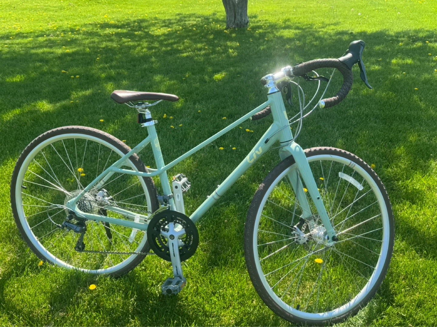 Liv Beliv Gravel Bike - photo 2