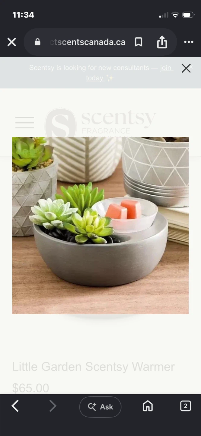 Scentsy Little Garden Wax Warmer - photo 3