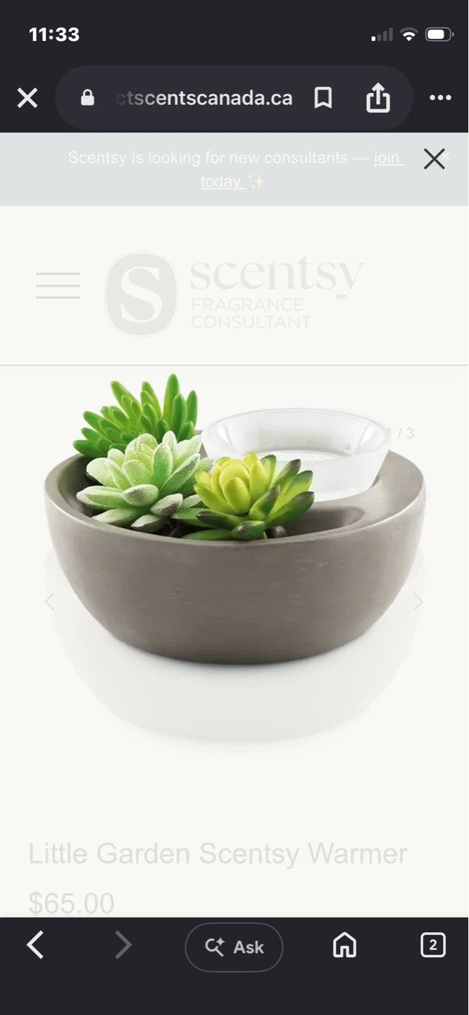 Scentsy Little Garden Wax Warmer