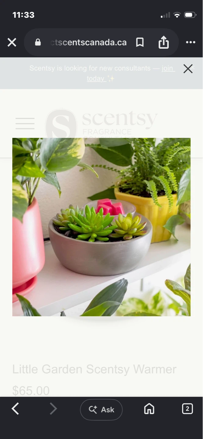 Scentsy Little Garden Wax Warmer - photo 2