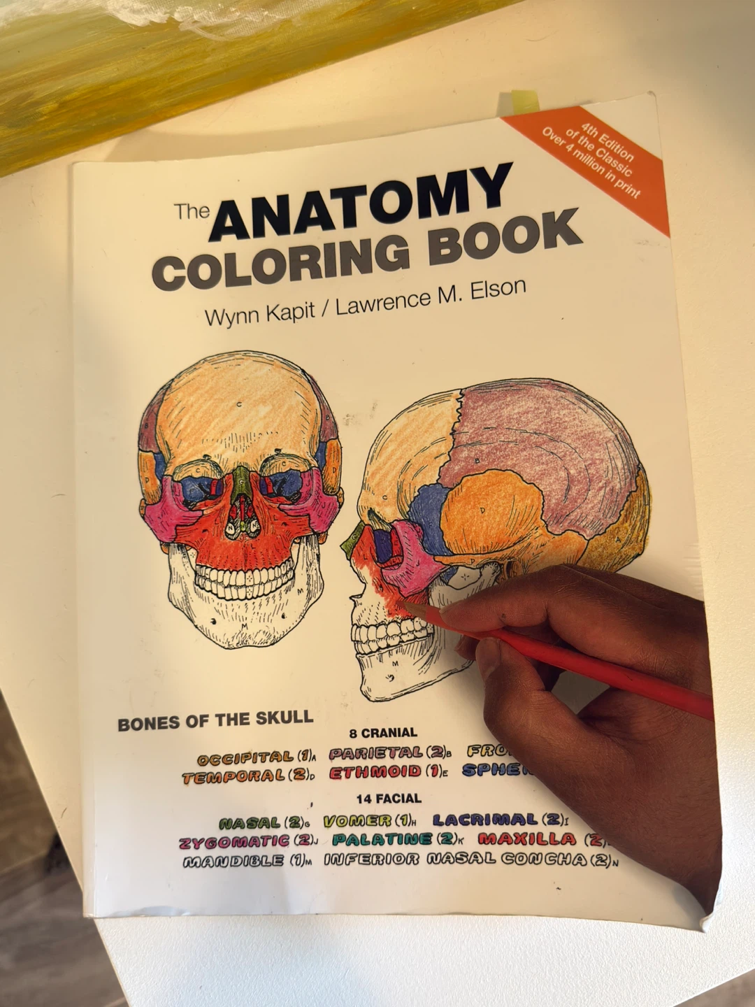 The Anatomy Coloring Book - 4th Edition