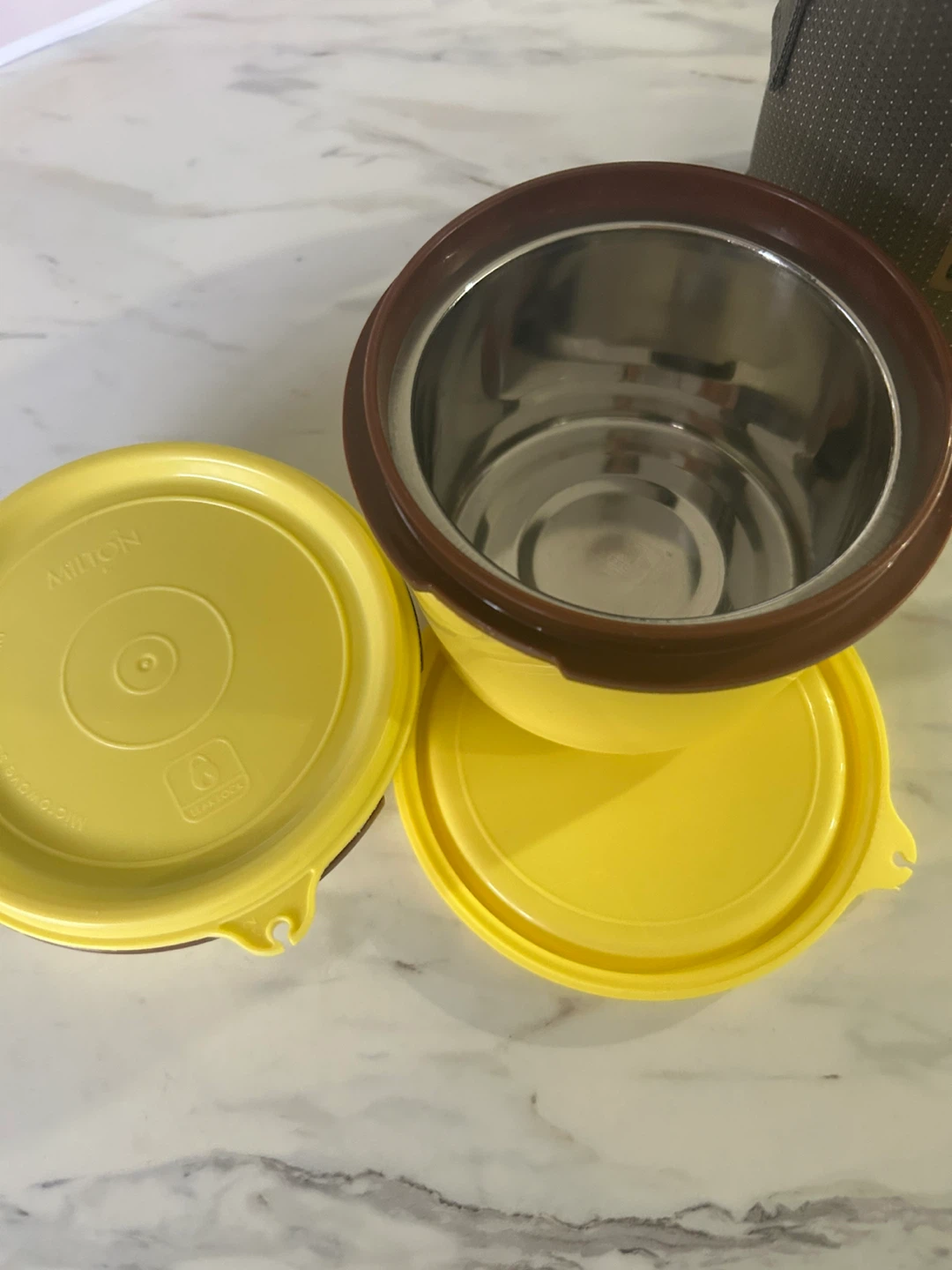Milton Insulated Food Container with Bag