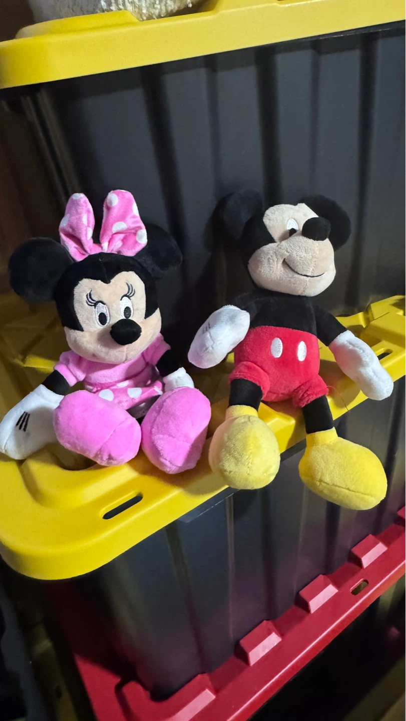 Minnie Mouse and Mickey Mouse Plush Toys