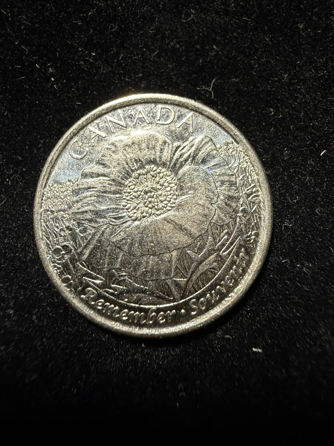 2015 Canada 25 Cent Coin - Poppy