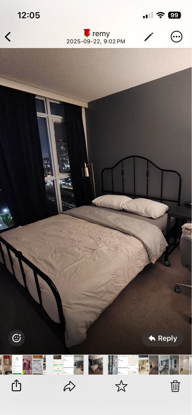 Black Metal Bed Frame queen