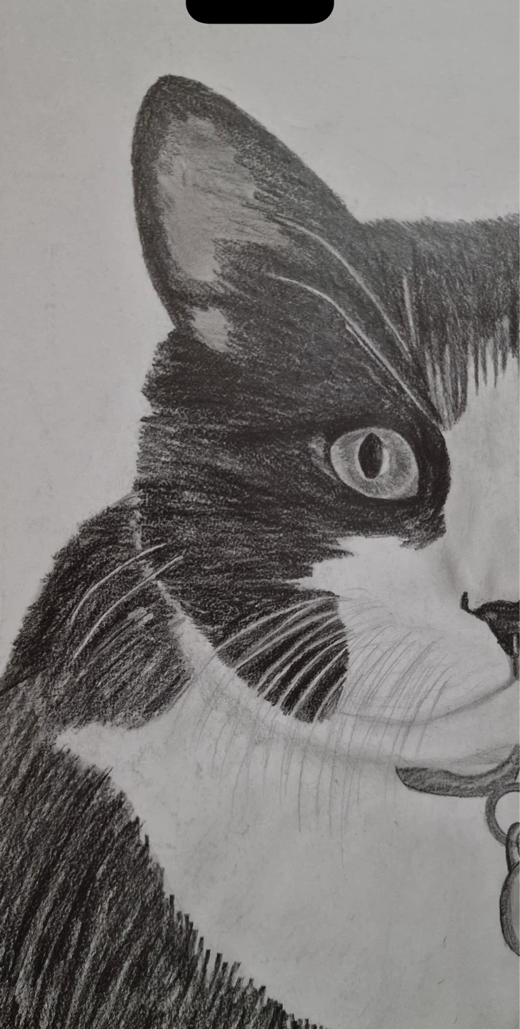Pencil Sketch Portrait Drawings
