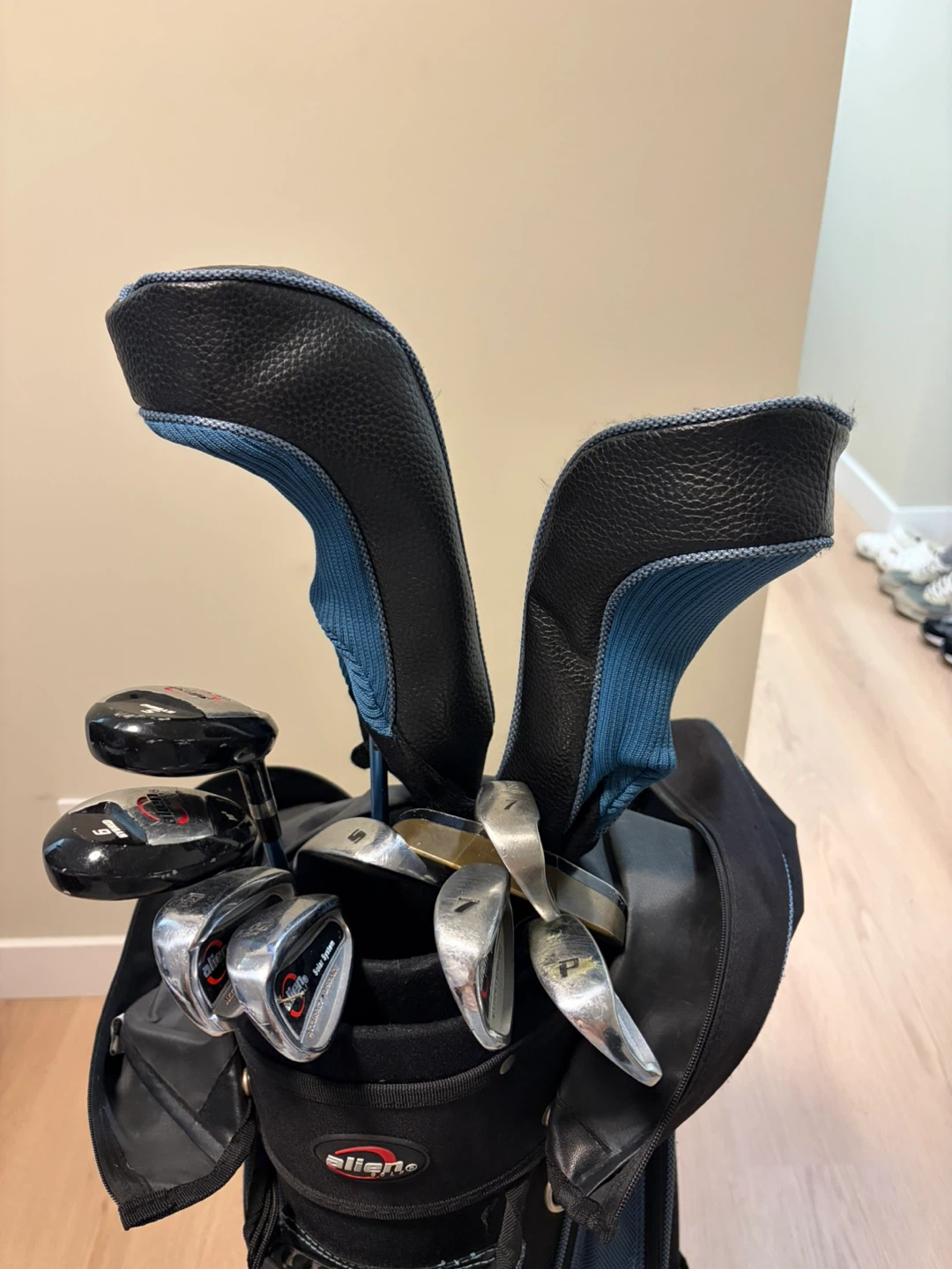 Golf Club Set with Bag