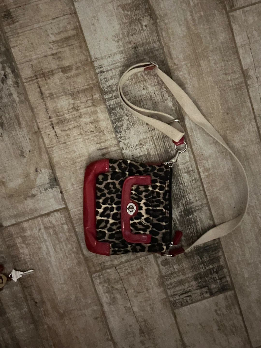 Coach Leopard Print Crossbody Bag with Red Trim