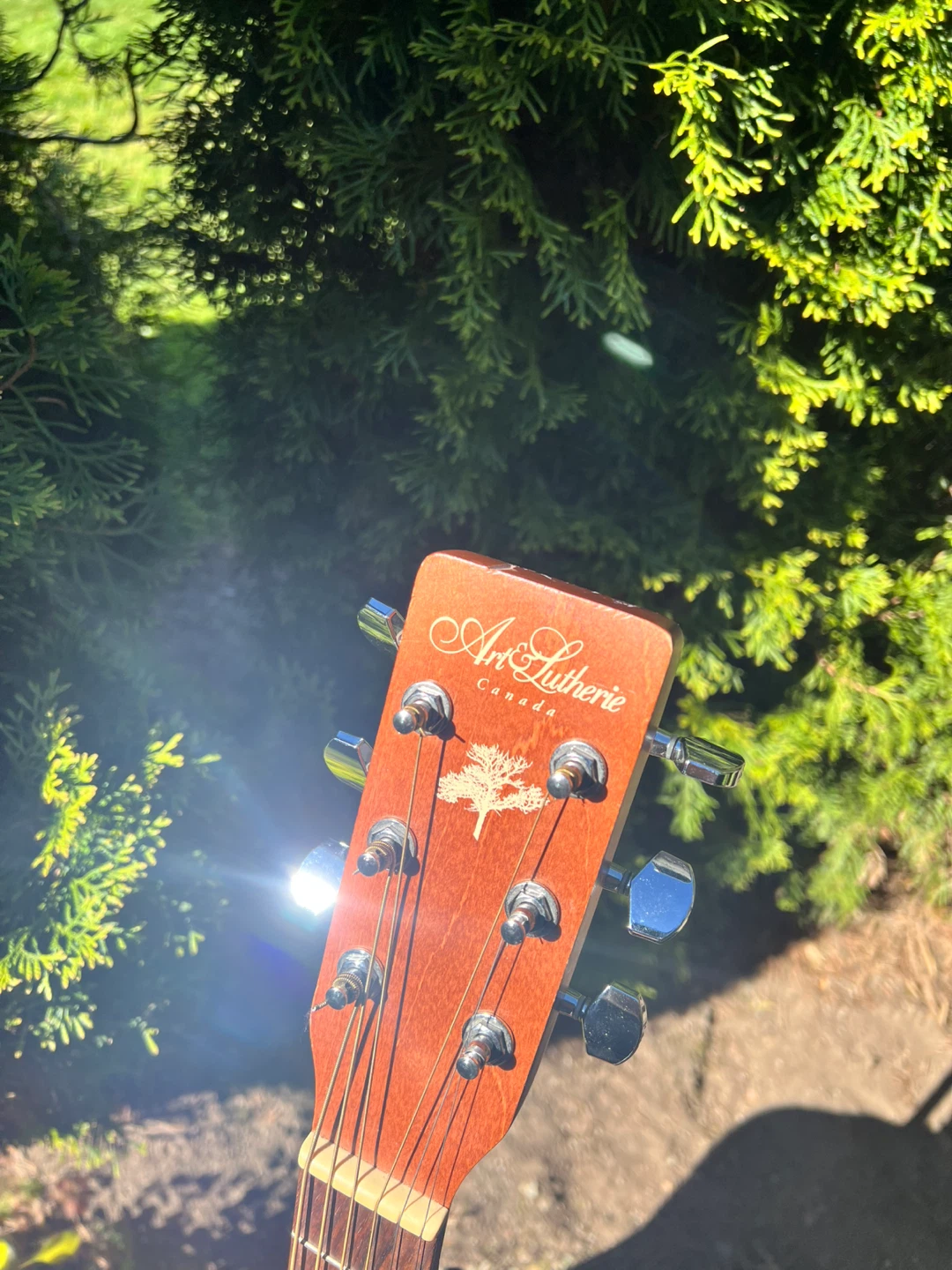 Art & Lutherie Cedar Burst Acoustic Guitar ✅ FREE DELIVERY - photo 3