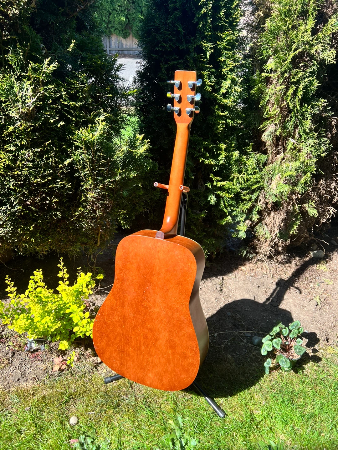 Art & Lutherie Cedar Burst Acoustic Guitar ✅ FREE DELIVERY - photo 4