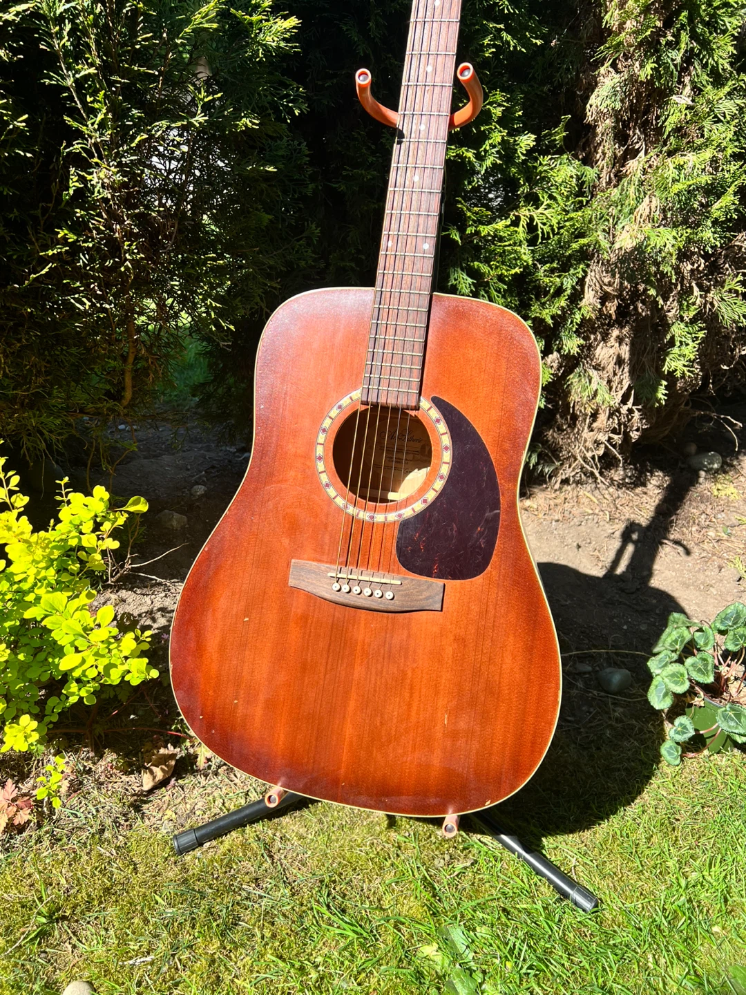 Art & Lutherie Cedar Burst Acoustic Guitar ✅ FREE DELIVERY
