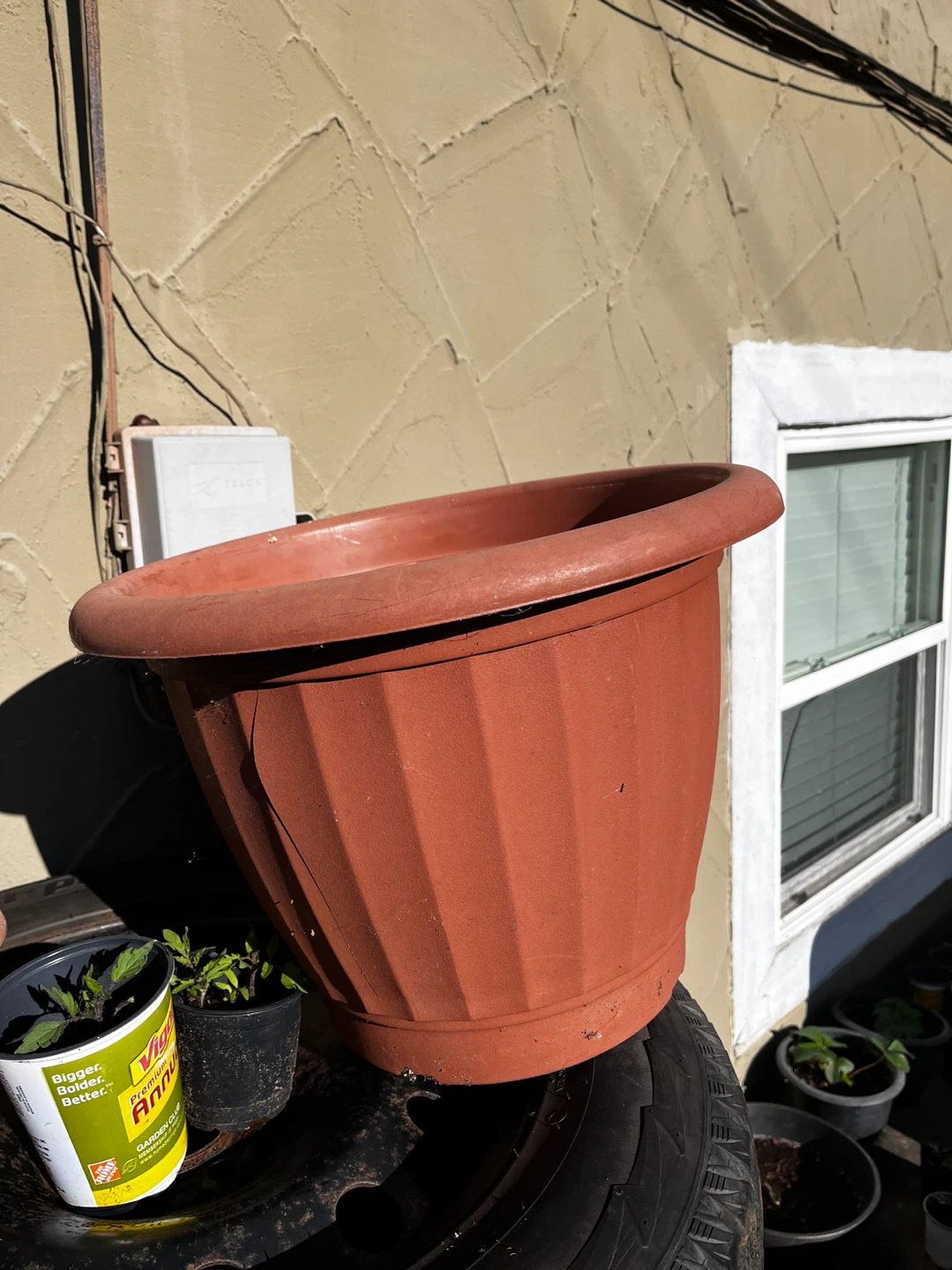 Large Plastic Plant Pot - Terra Cotta Color - photo 3