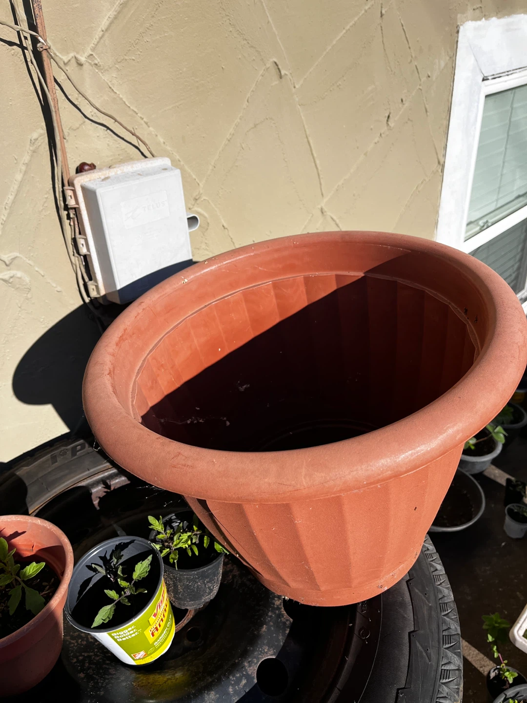 Large Plastic Plant Pot - Terra Cotta Color - photo 2