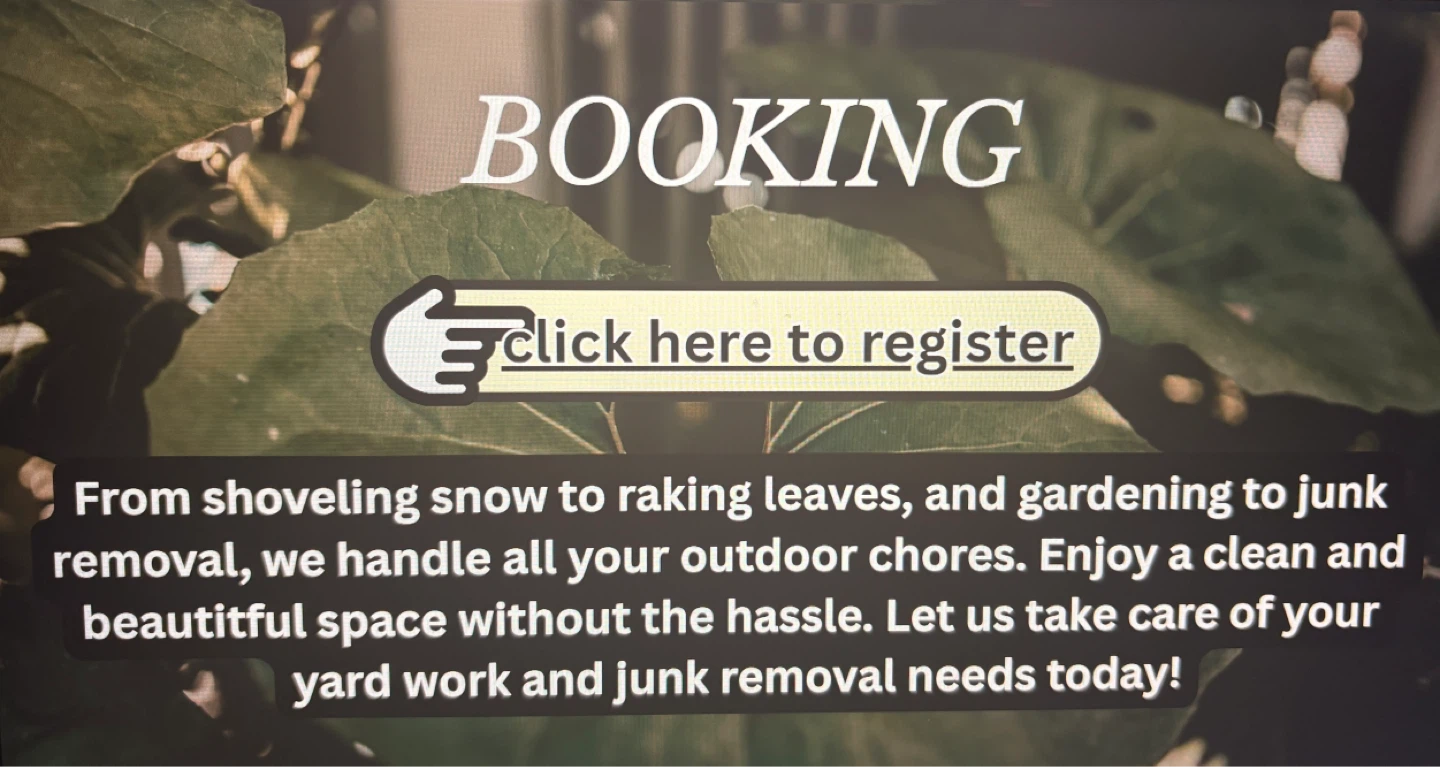 Outdoor Chores Service - Shoveling, Lawn Care, Junk Removal - photo 3