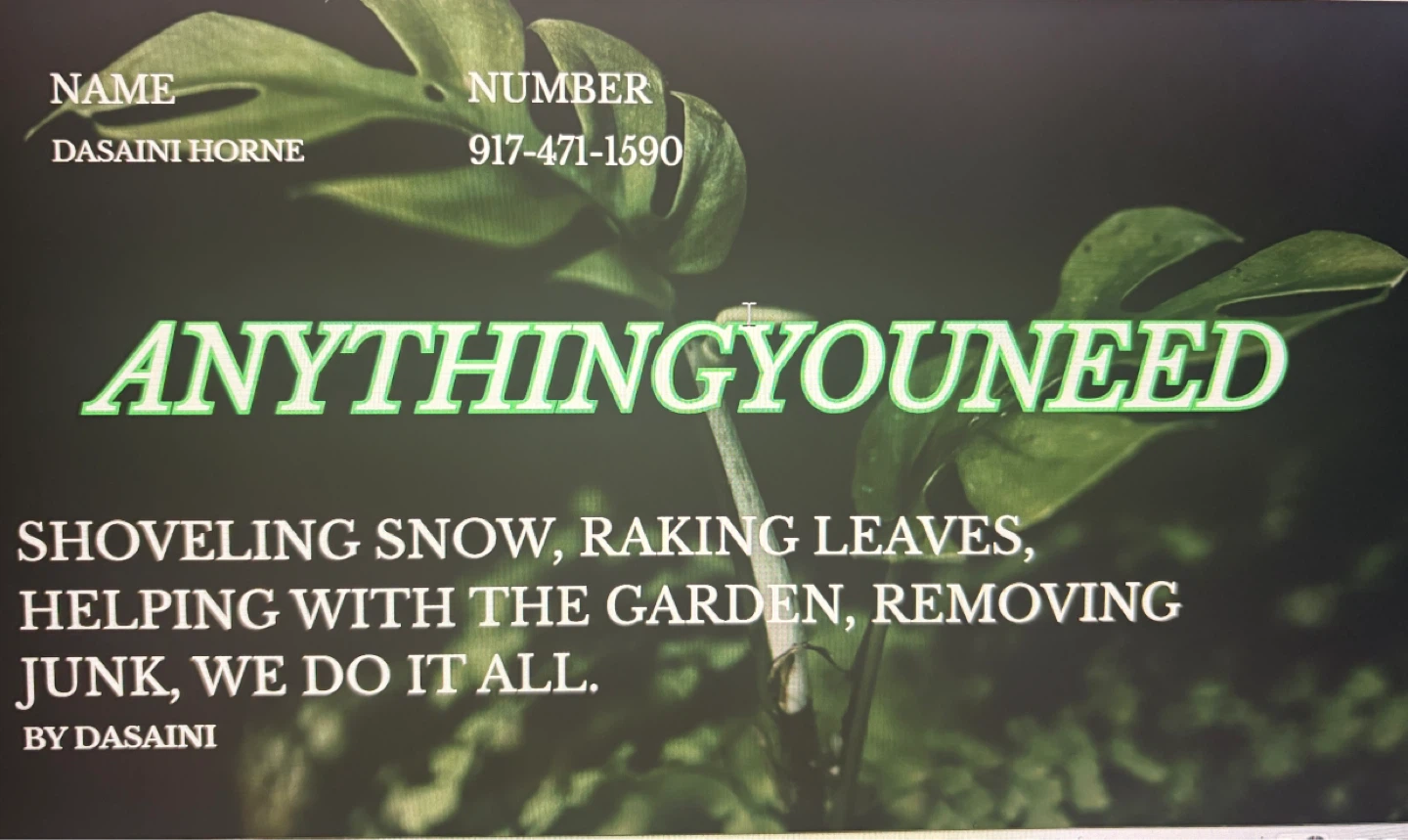 Outdoor Chores Service - Shoveling, Lawn Care, Junk Removal