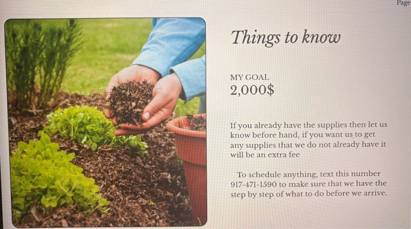 Outdoor Chores Service - Shoveling, Lawn Care, Junk Removal - photo 2