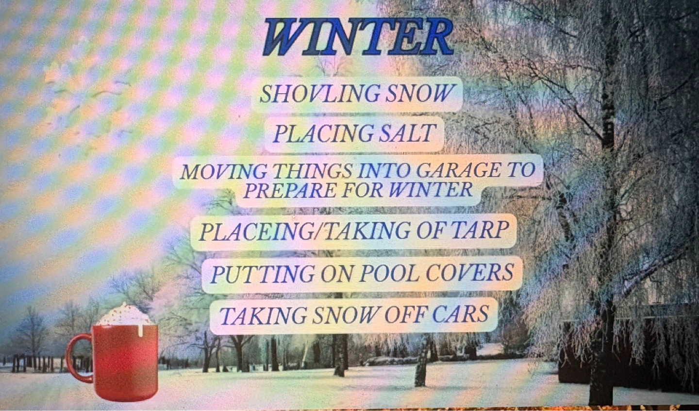 Outdoor Chores Service - Shoveling, Lawn Care, Junk Removal - photo 5