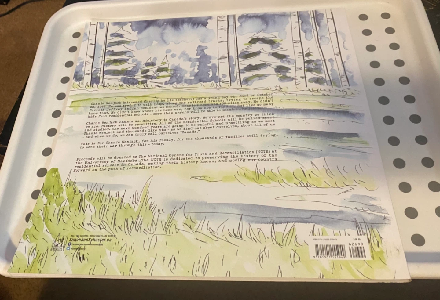 Secret Path Graphic Novel by Gord Downie & Jeff Lemire - photo 3