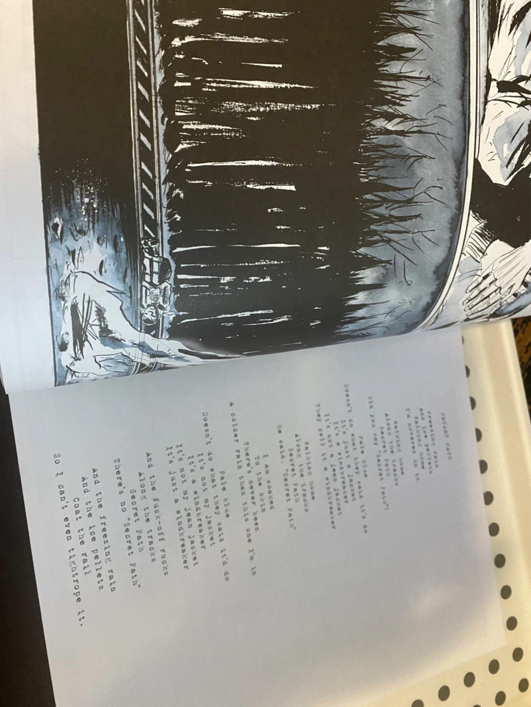 Secret Path Graphic Novel by Gord Downie & Jeff Lemire - photo 2