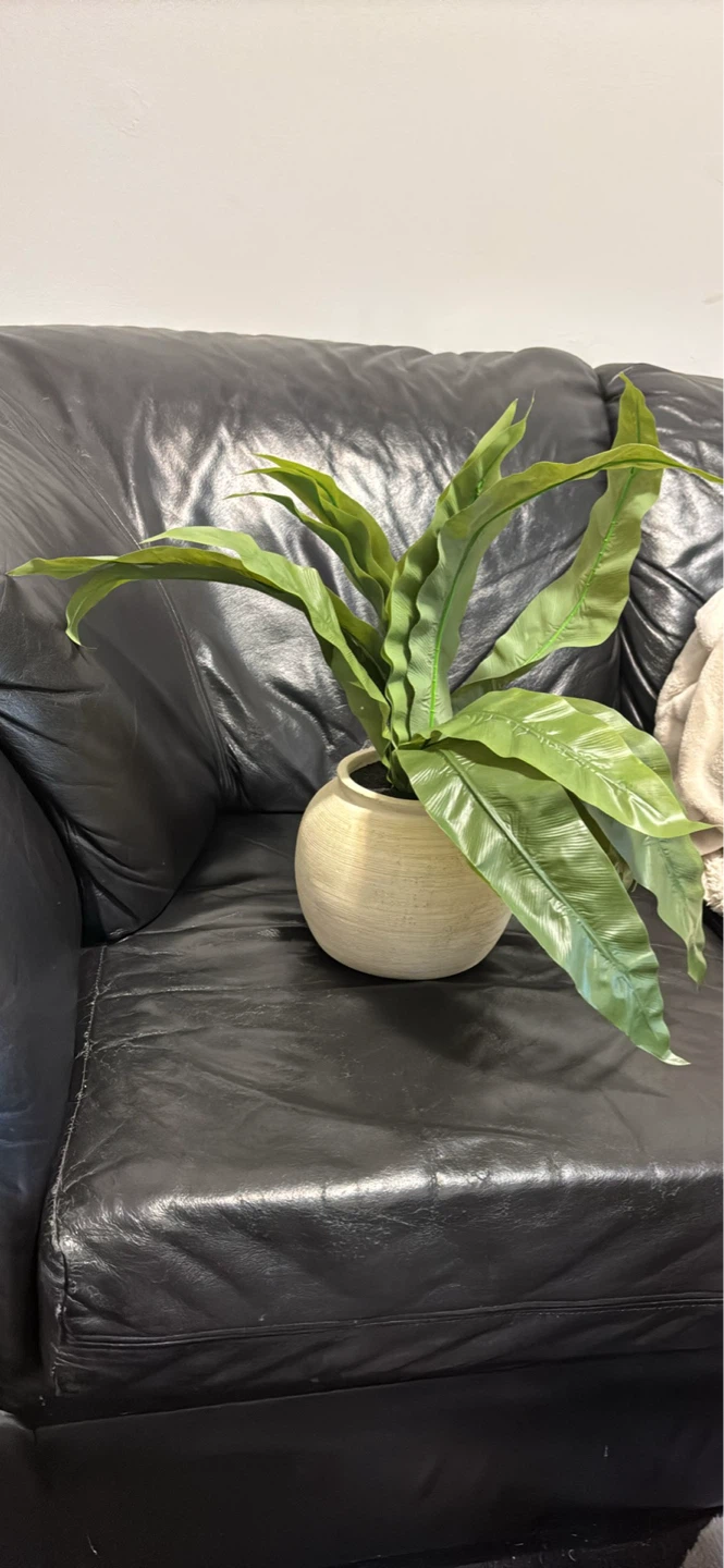 Artificial Fern Plant in Pot