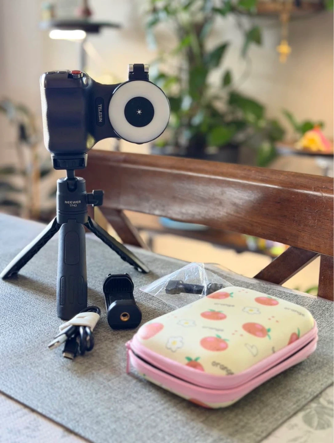 TELESIN Vlog Kit with Neewer Tripod and Ring Light