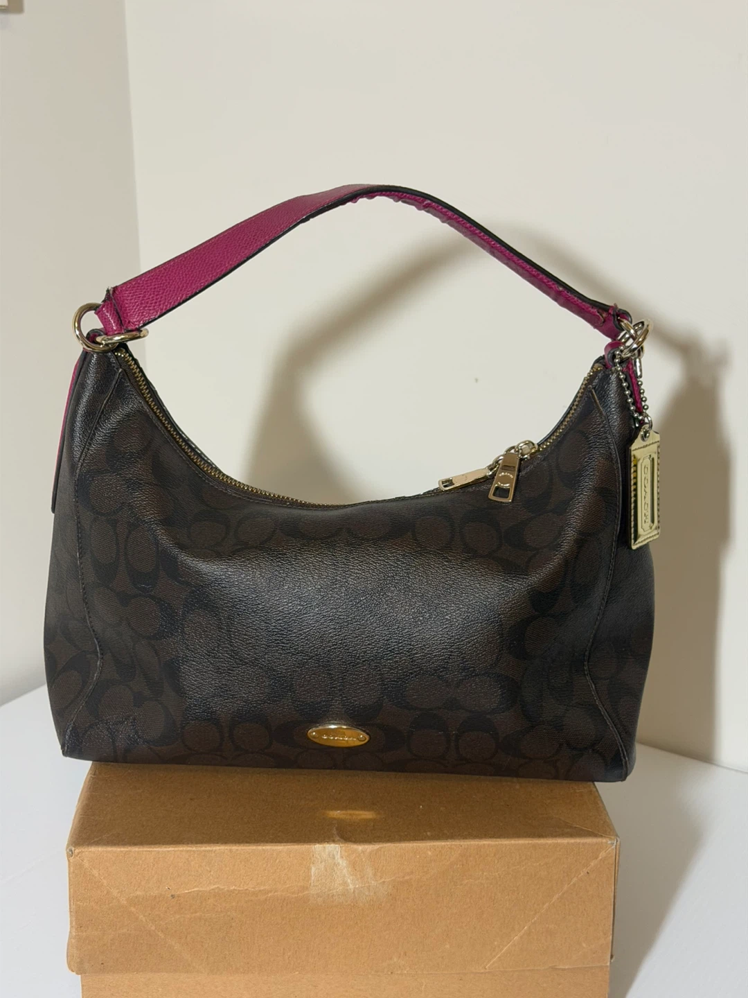 Coach Signature Hobo Purse
