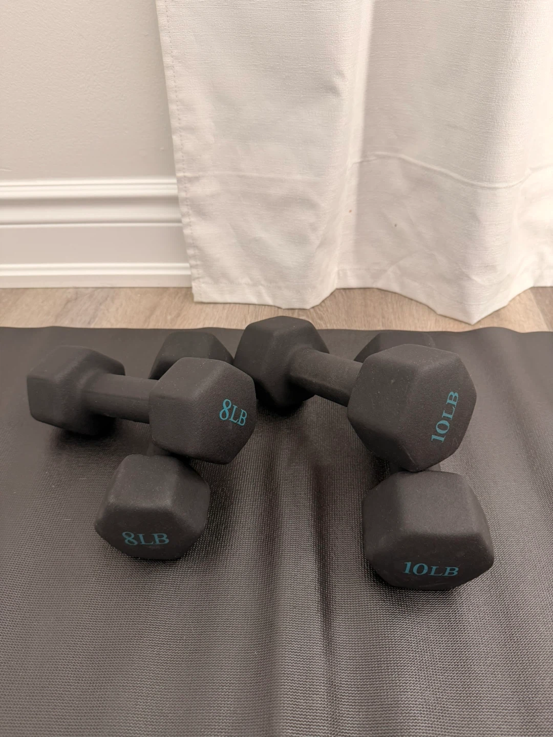 Dumbbell Set (8lb and 10lb)