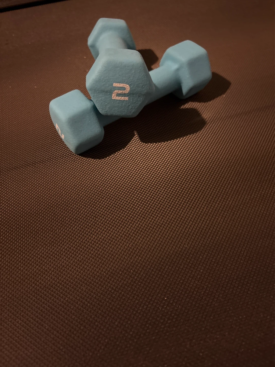 Pair of 2 lb Dumbbells