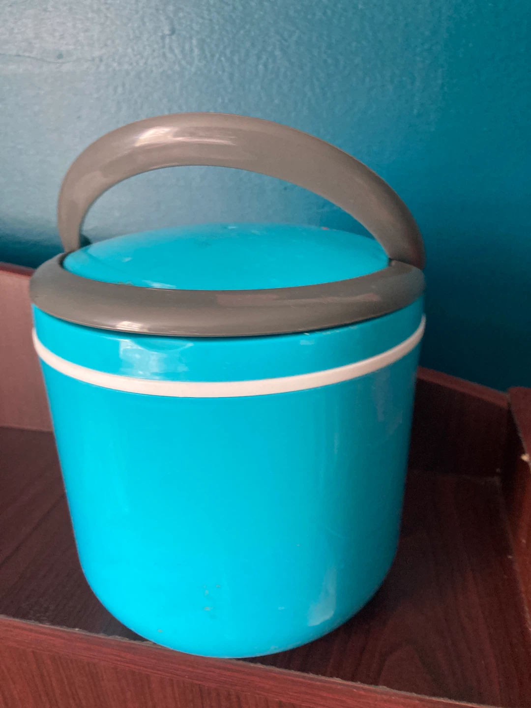 Blue Insulated Lunch Container