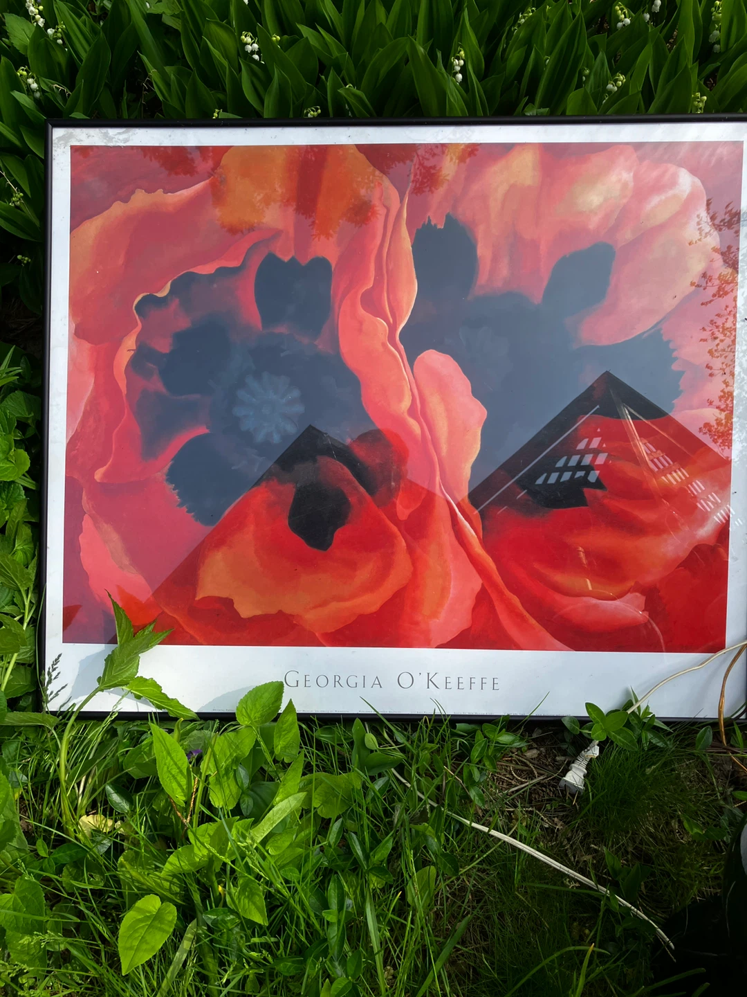 Georgia O'Keeffe Framed Art Print