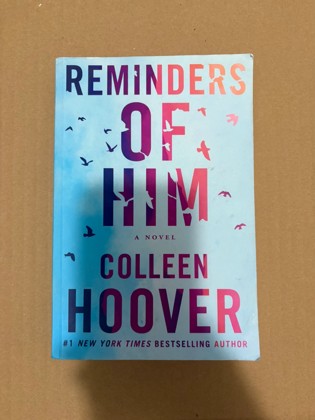 Reminders of Him by Colleen Hoover Novel