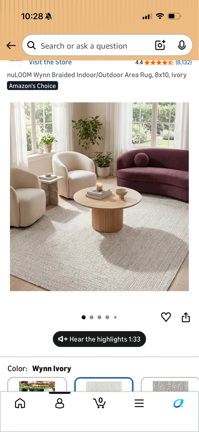 HUGE Wynn Braided Indoor/Outdoor Area Rug, 8x10, Ivory