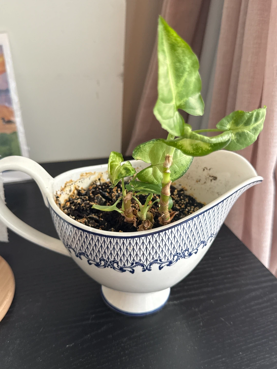 White Gravy Boat with Blue Pattern and Plant - photo 2