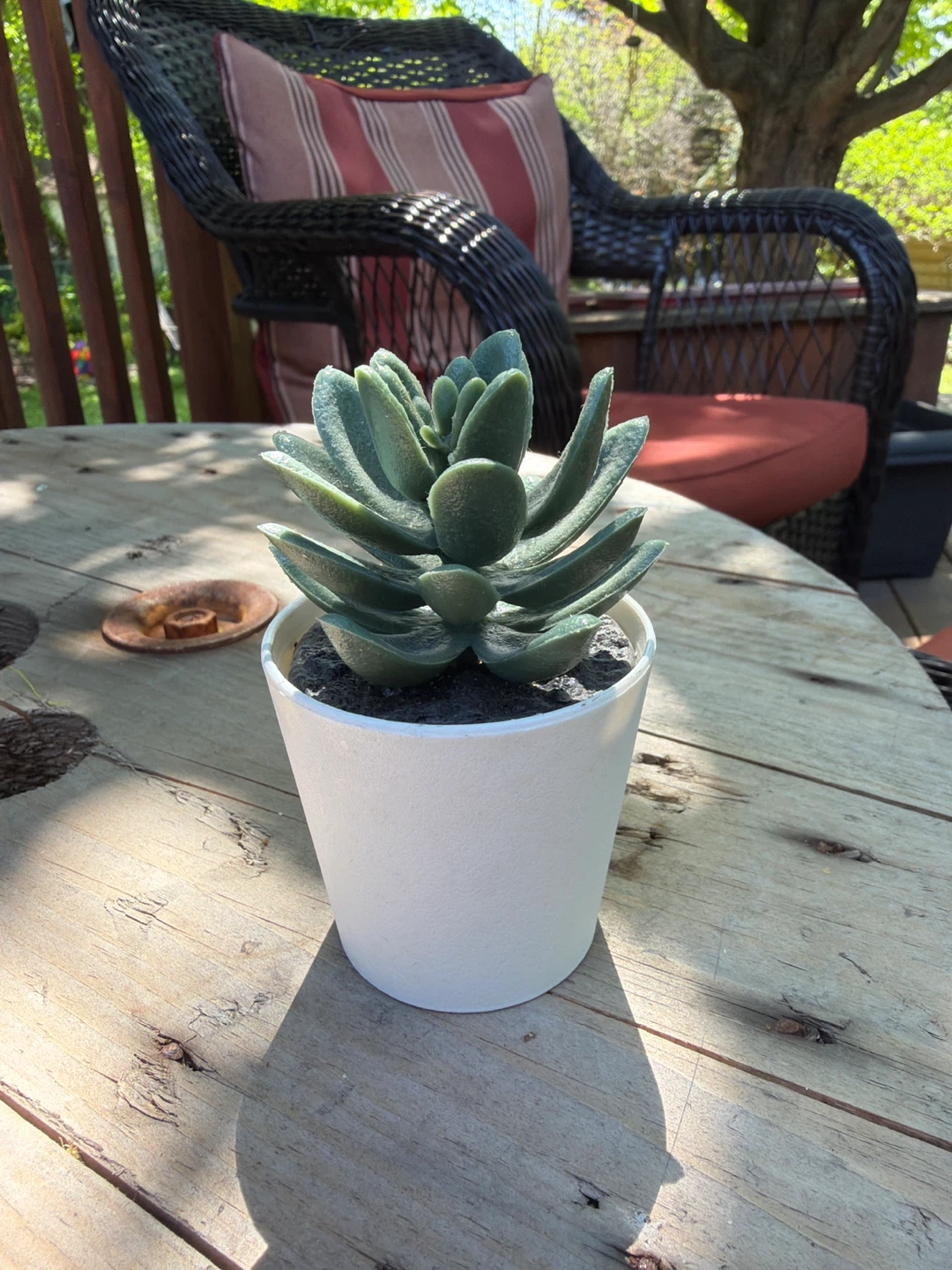Faux Succulent Plant in White Pot