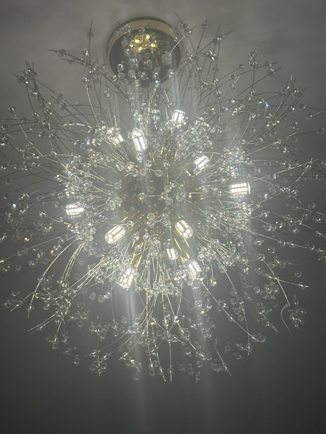 Crystal Branch Chandelier - photo 2