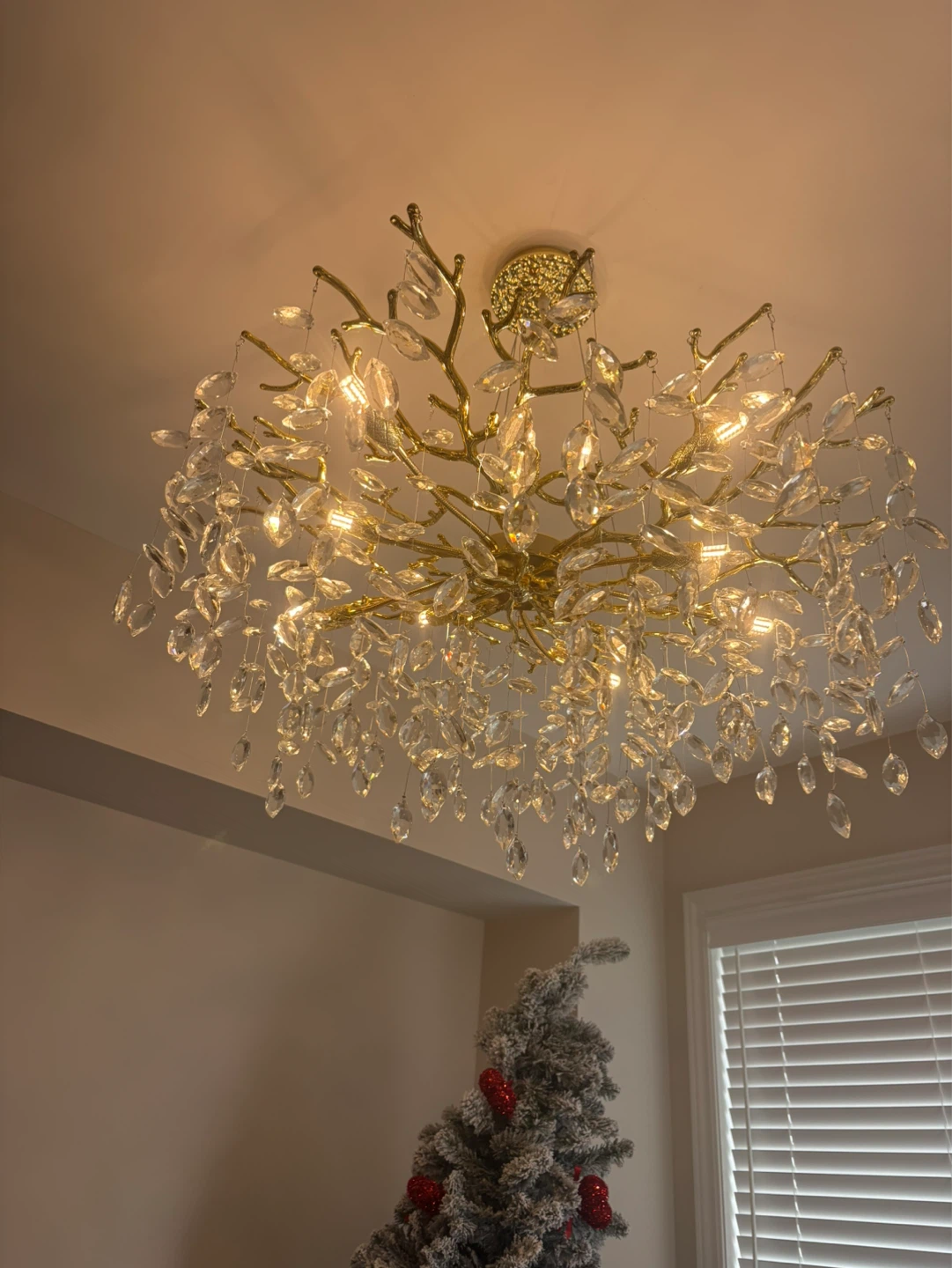 Crystal Branch Chandelier - photo 3