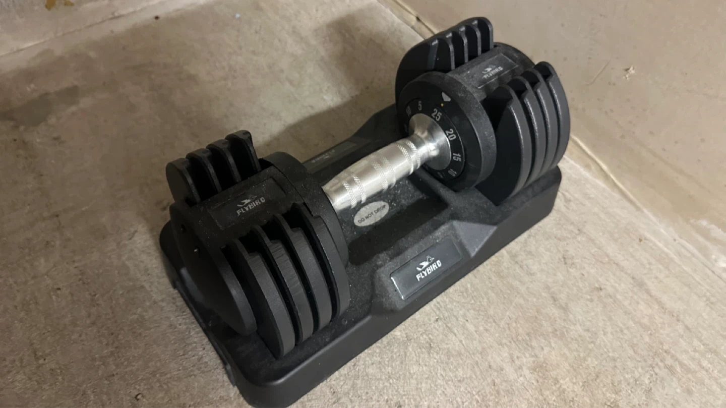 FLYBIRD Adjustable Dumbbell Set (25lb)
