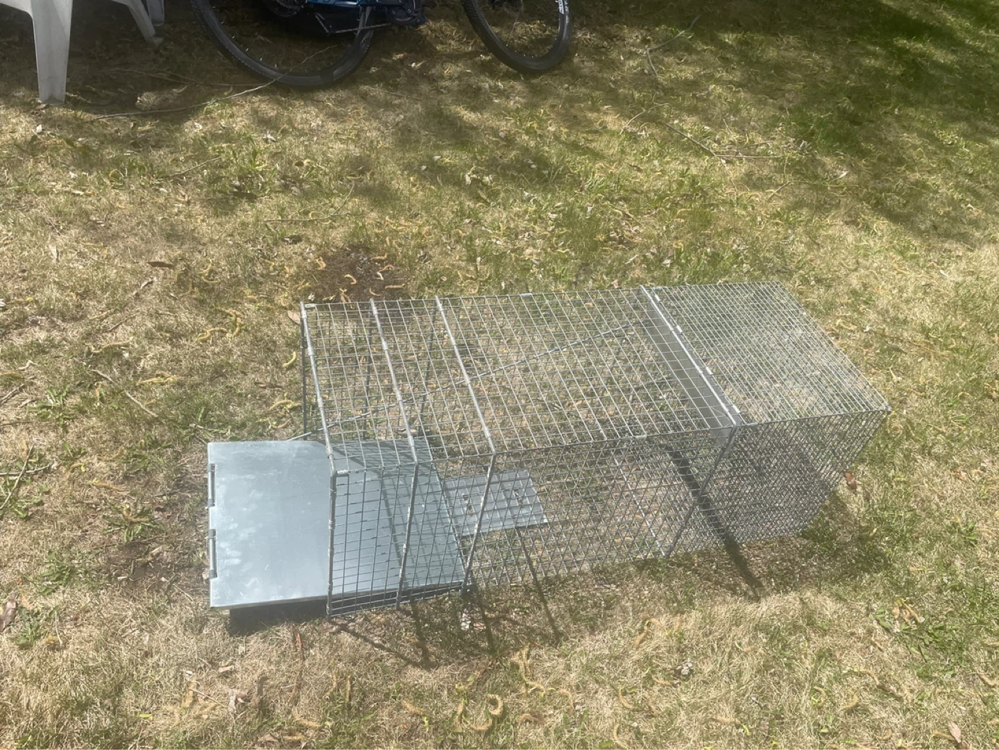 Live Animal Trap Cage