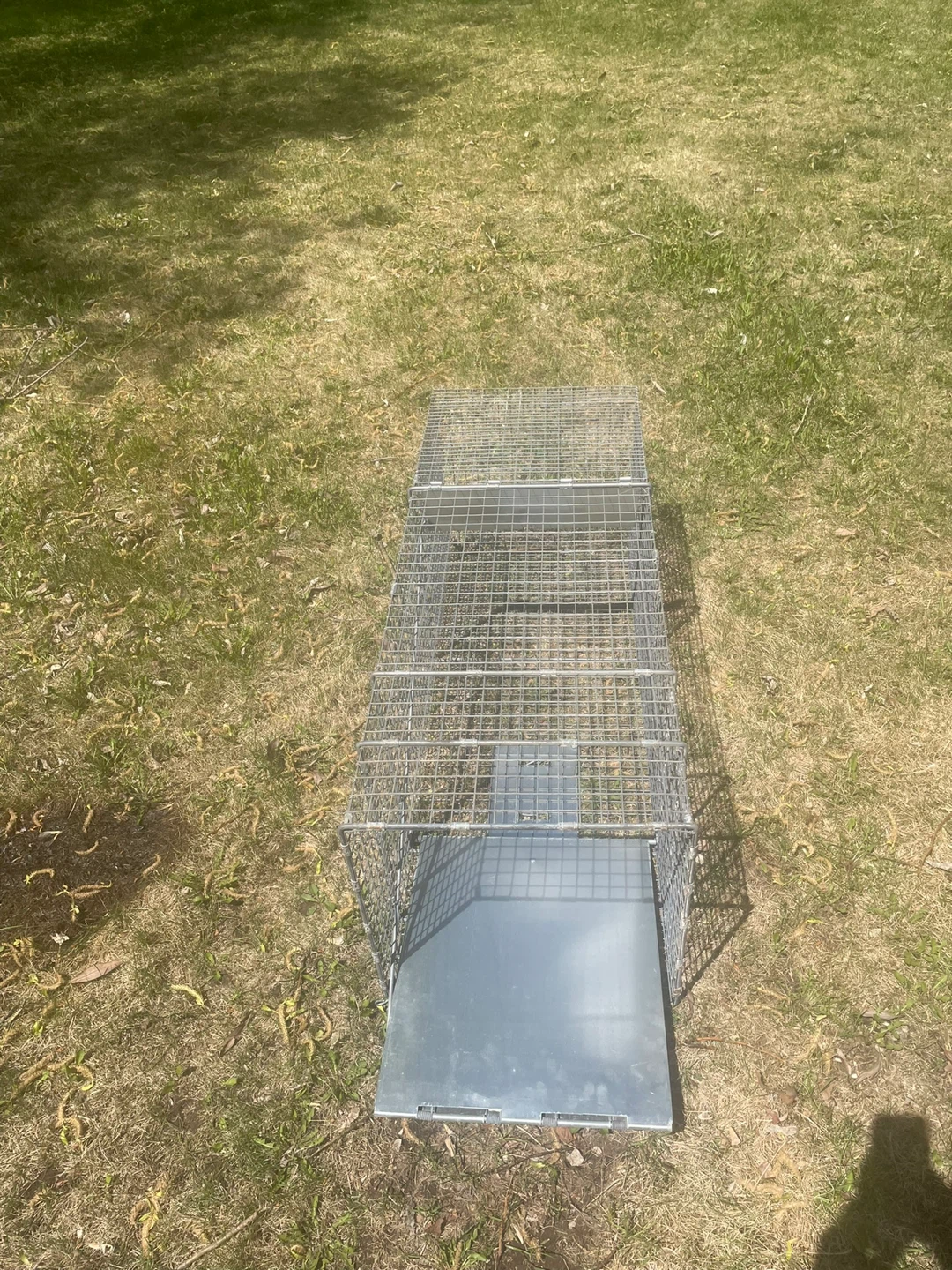 Live Animal Trap Cage - photo 2